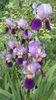 20160502_152635
