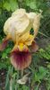 20160503_101337