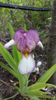 20160503_101722