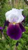 20160503_102236