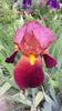 20160503_102224