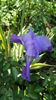 20160506_103733