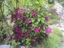 DSC09950