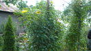 P1150058