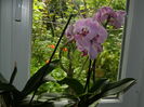 DSCN7638