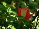 DSCN7658
