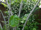 DSCN7689