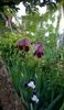 WP_20160506_044