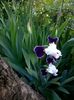 WP_20160506_046