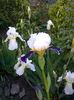 WP_20160506_047