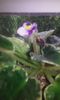 20160507_084307