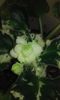 20160507_084718