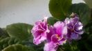 WP_20151210_12_34_42_Pro