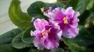 WP_20151210_12_36_42_Pro