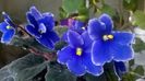WP_20151228_14_44_50_Pro
