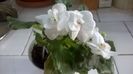 WP_20160127_11_10_29_Pro