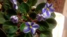 WP_20160327_23_59_30_Pro