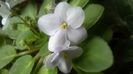 WP_20160328_18_48_04_Pro