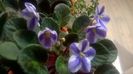 WP_20160328_22_35_22_Pro