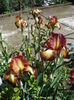 P1260357