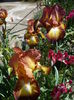 P1260358