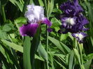 DSCF8261