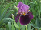 DSCF8262