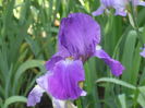 DSCF8263