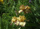 DSCF8302
