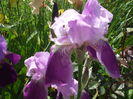 DSCF8319