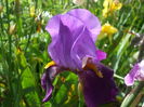 DSCF8320