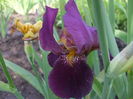 DSCF8327