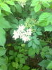 Soc Hollunder,7.05.2016