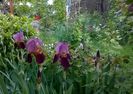 WP_20160506_007