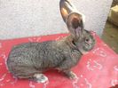 B776 45113(M5)Bolya!!