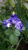 WP_20160507_005