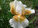 20160506_104623