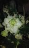 20160508_090341