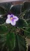 20160508_090655