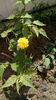 IMG_20160508_120047