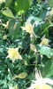 IMG_20160508_095736[1]