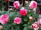 IMG_20160508_084413