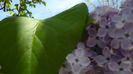 P1150007
