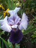 P1260401