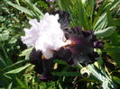 P1260404