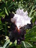 P1260405