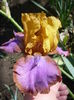 P1260415