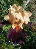 P1260425