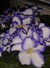 20160508_142848