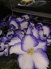 20160508_142843